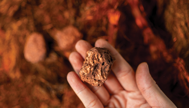 Nespresso Ambassador Lineup: Winemaker Joins Clooney, Cruz